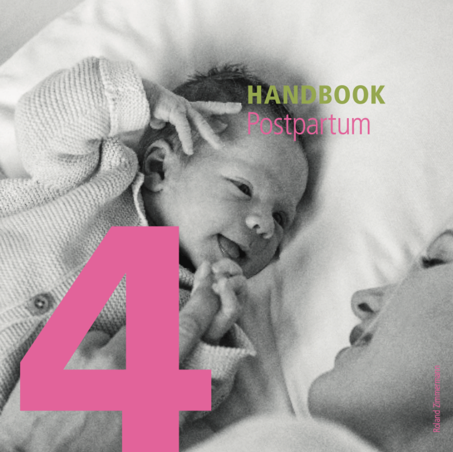 handbuch 4 en